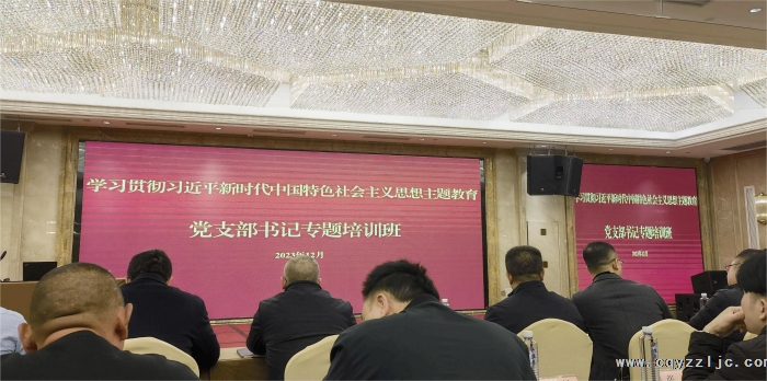 學(xué)習(xí)貫徹習(xí)近平新時(shí)代中國特色社會(huì)主義思想主題教育